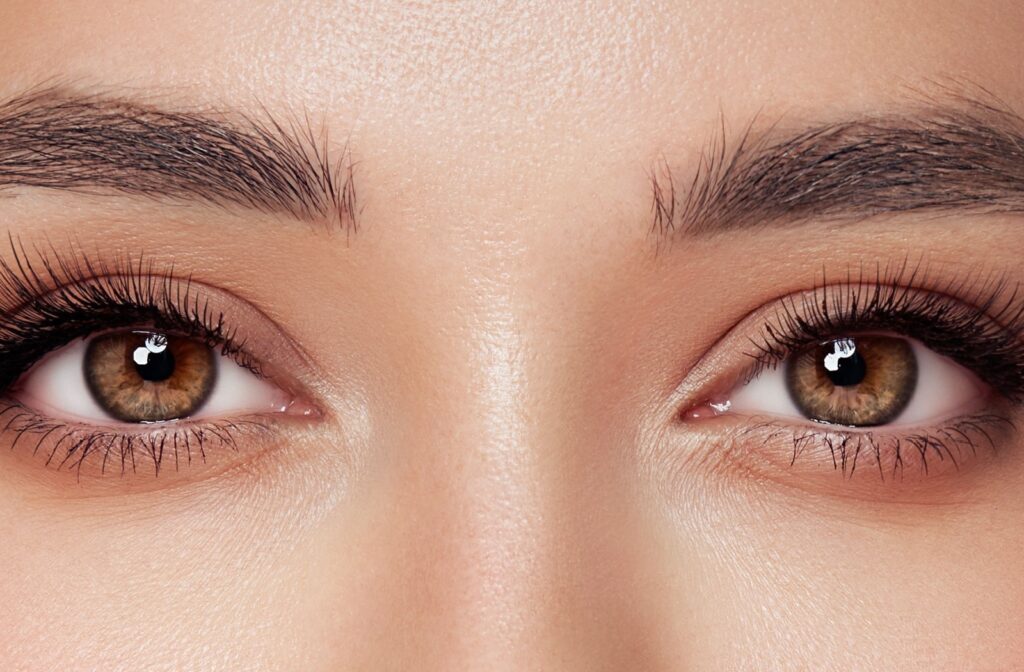 A close up of a woman's beautiful brown eyes and healthy, long eyelashes.