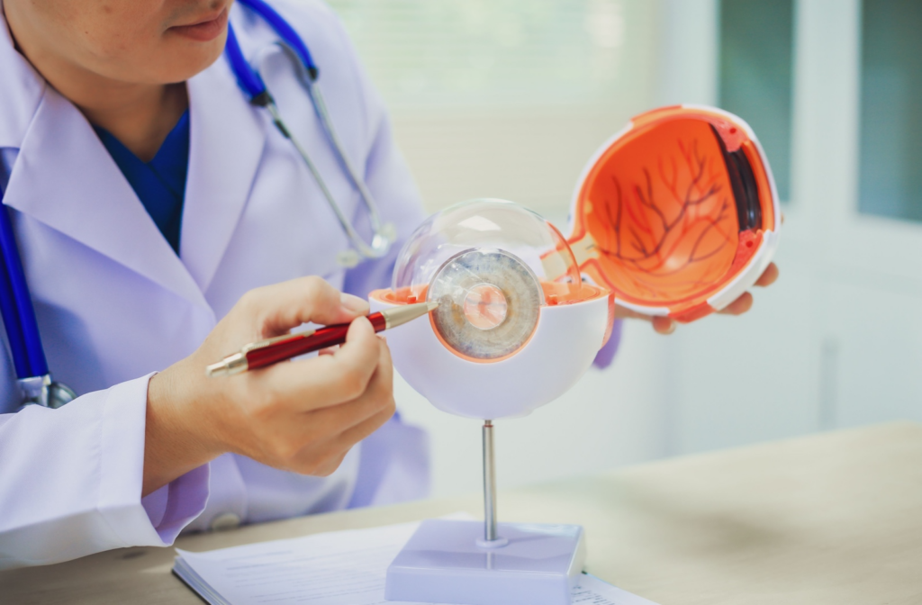 An ophthalmologist explains cataracts and double vision using mock-up of eye.